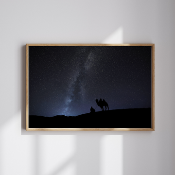 Nightsky In Gobi Desert