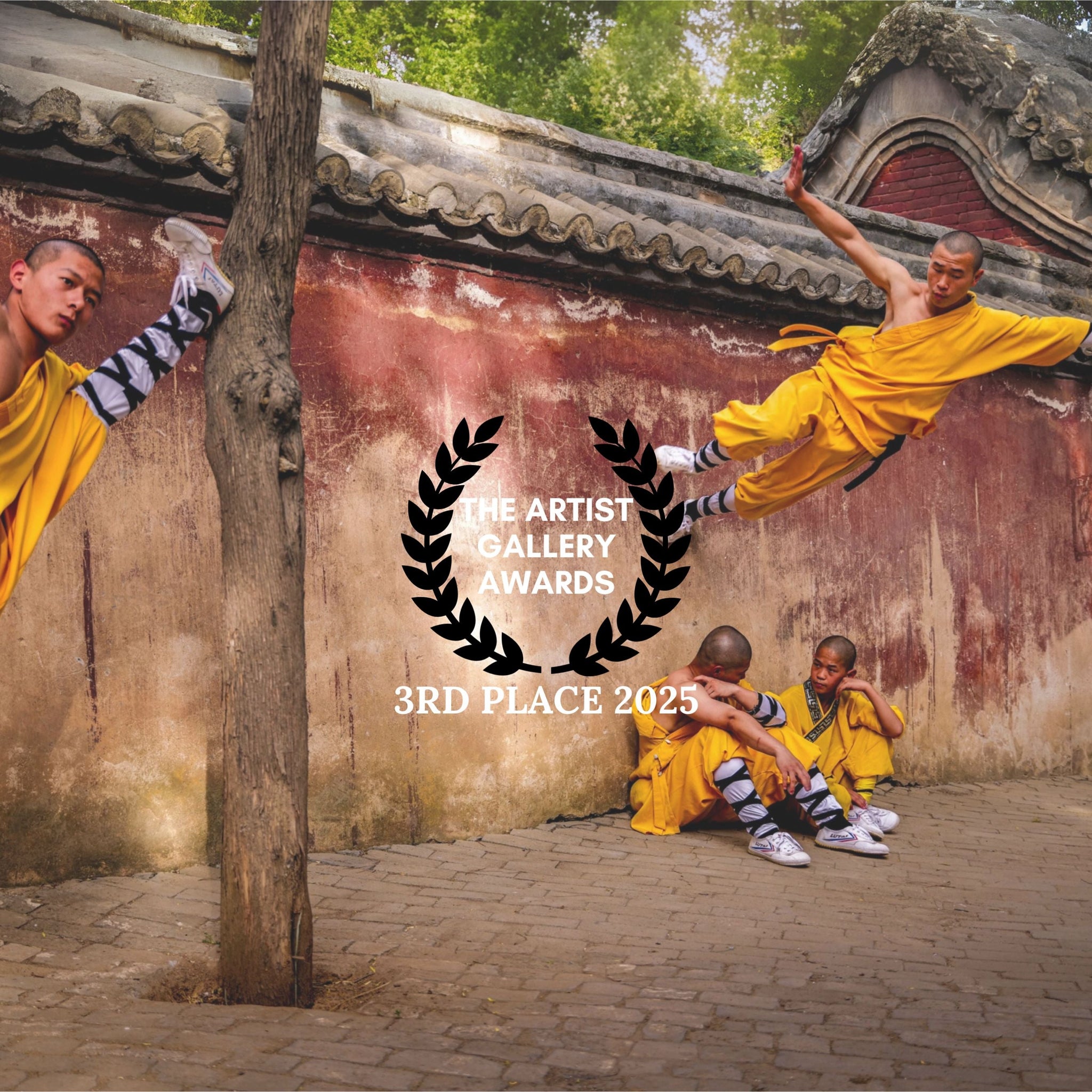 3rd Place – The Artist Gallery Awards