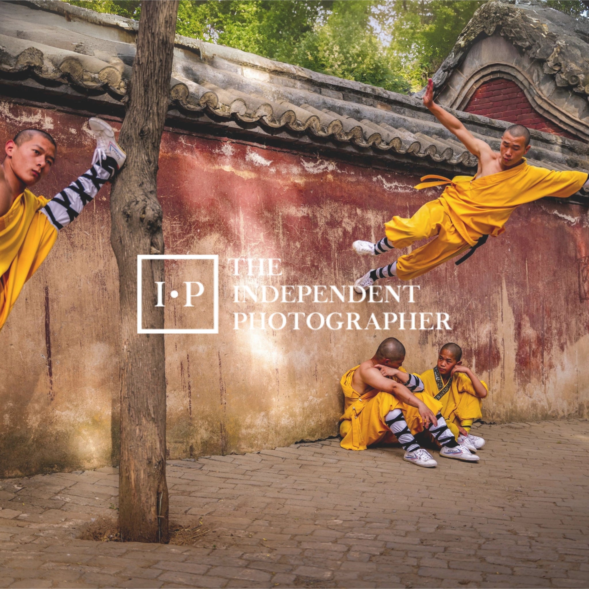 3rd Prize – The Independent Photographer Awards