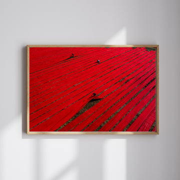 Red Fields