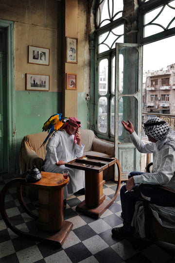 Dice and Feathers — fine art photograph by Laurin Strele