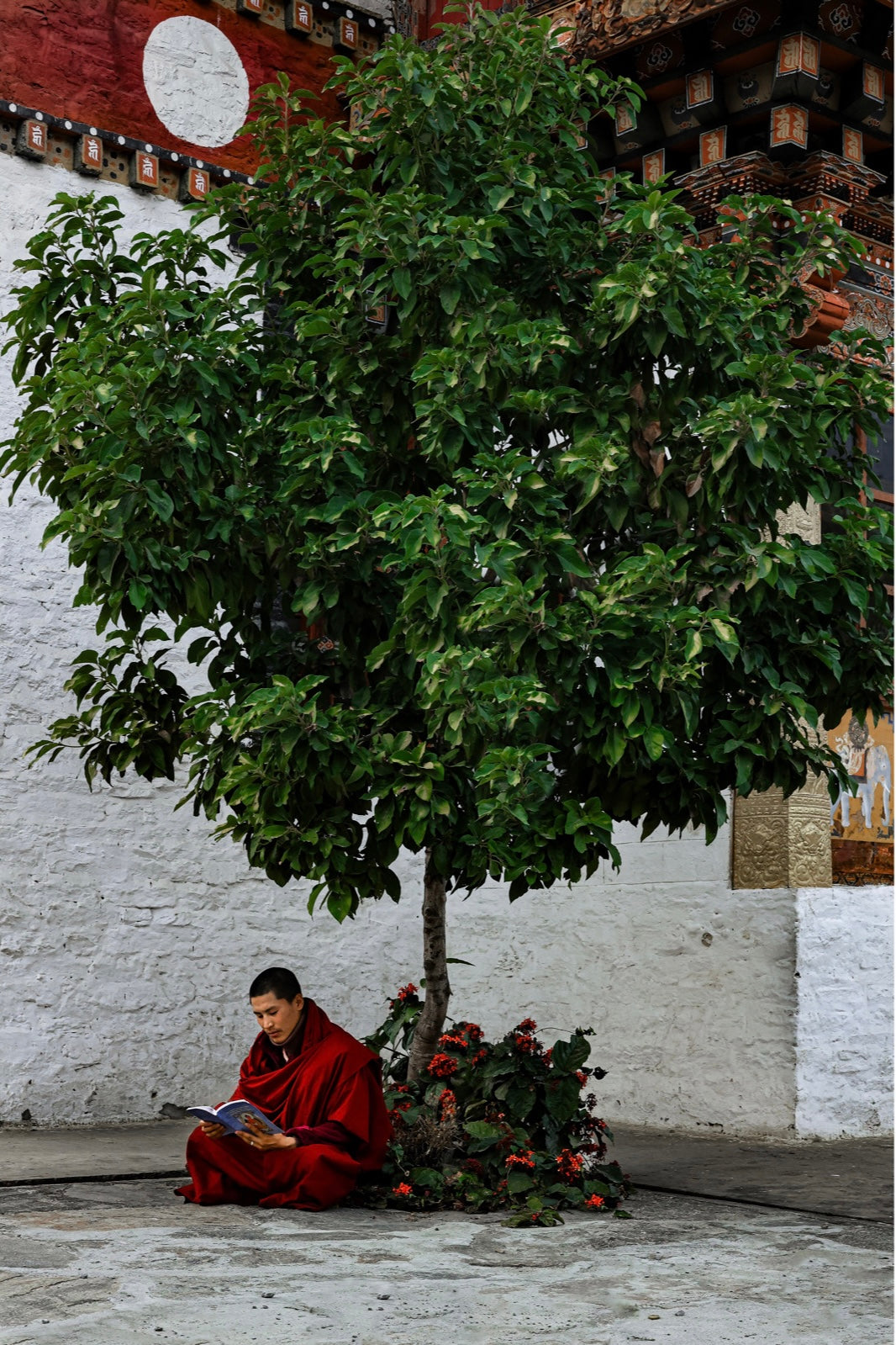 Bhutan Monk