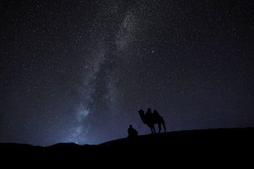 Night Sky in the Gobi Desert — fine art photograph by Laurin Strele