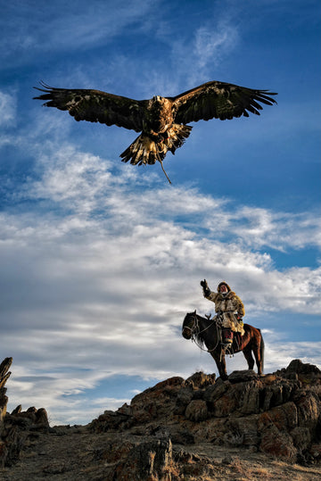 Eagle in Motion — fine art photograph by Laurin Strele