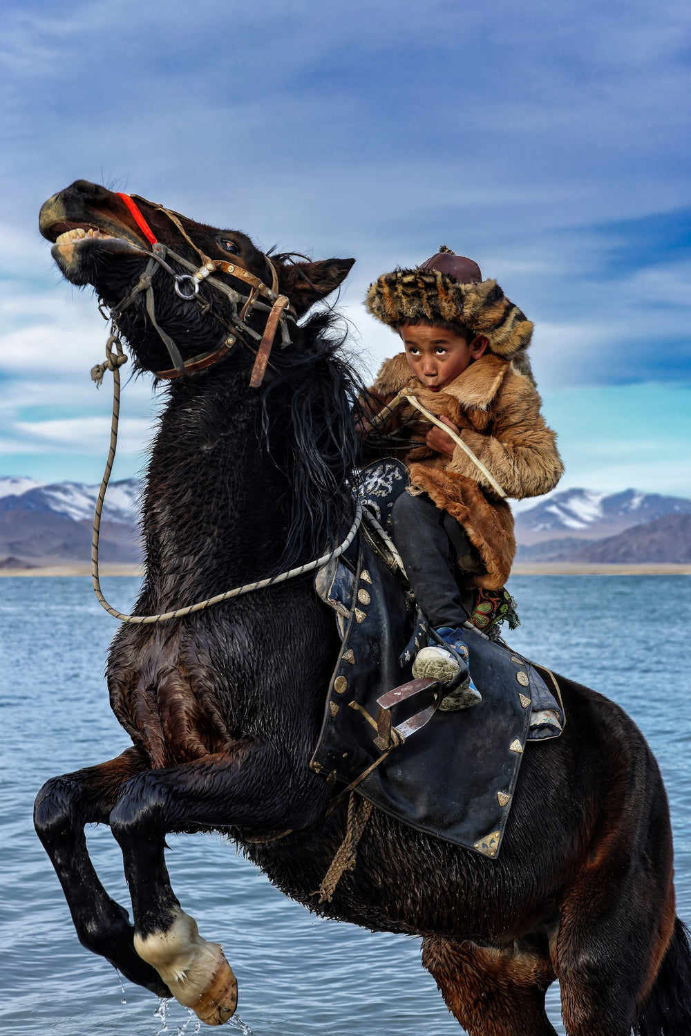 A young rider holds the reins of a rearing black horse beside a lake, with mountains in the distance.
