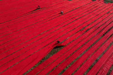 Red Fields — fine art photograph by Laurin Strele