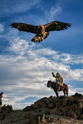 Eagle in Motion — fine art photograph by Laurin Strele