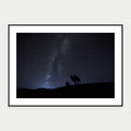 Night Sky in the Gobi Desert