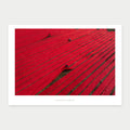 A1 photo poster of Red Fields by Laurin Strele, shown with a white border and light-grey artist name.