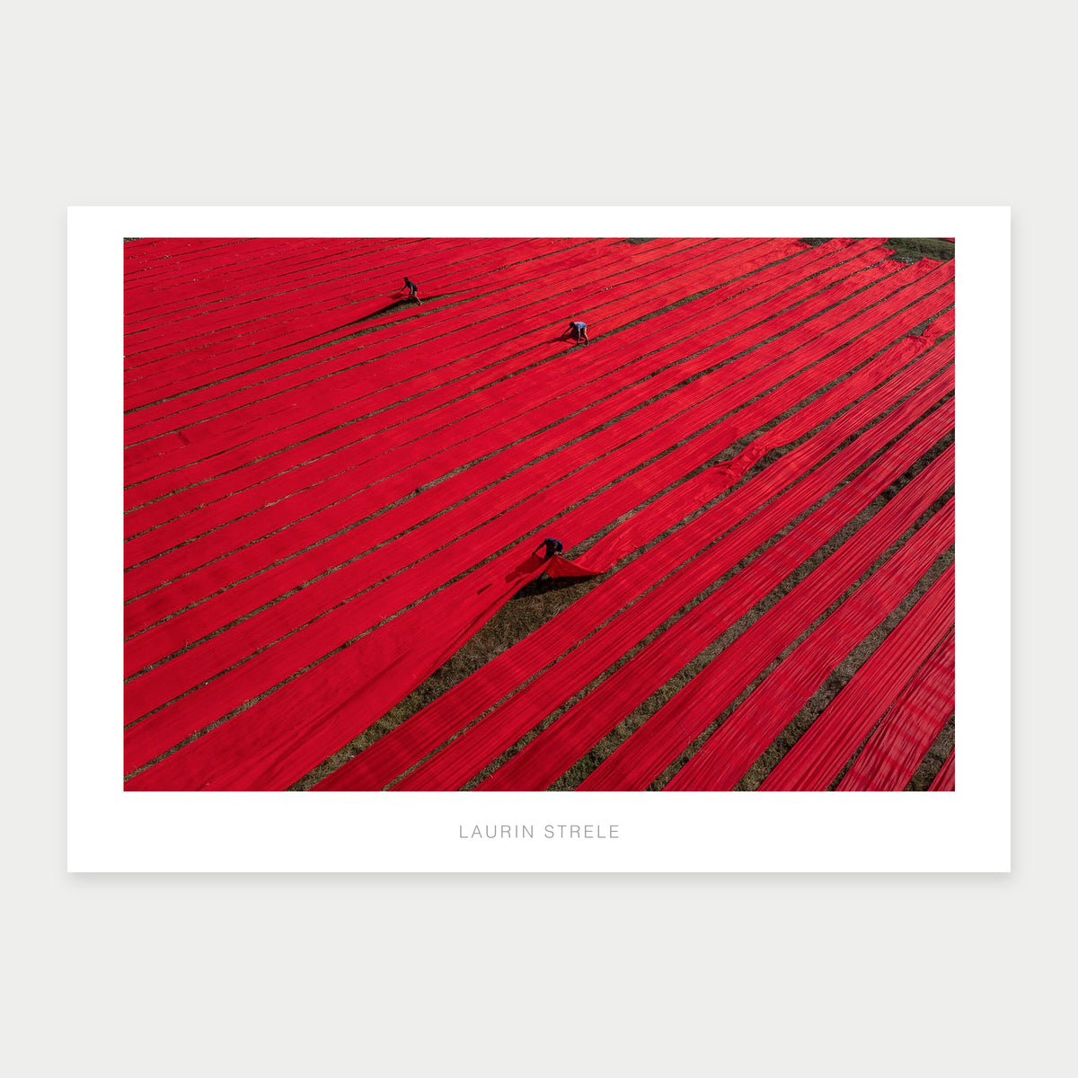 A1 photo poster of Red Fields by Laurin Strele, shown with a white border and light-grey artist name.