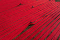 Workers lay out hand-dyed fabric to dry on the outskirts of Dhaka, Bangladesh, 2023. Photograph by Laurin Strele; image preview for the photo poster.